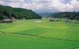 Quick Facts On Agricultural Land For 2007