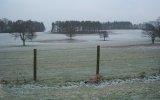 The snow protects the wheat crops from freezing