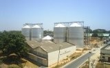 Bulgaria considers grain imports to counter soaring domestic prices