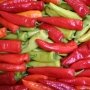 Peppers