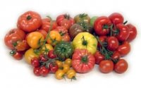 Tomatoes