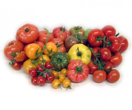 Tomatoes