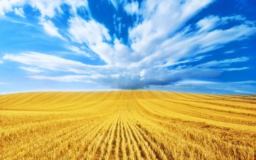 agriculture in Bulgaria