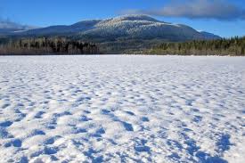 snow in the fields